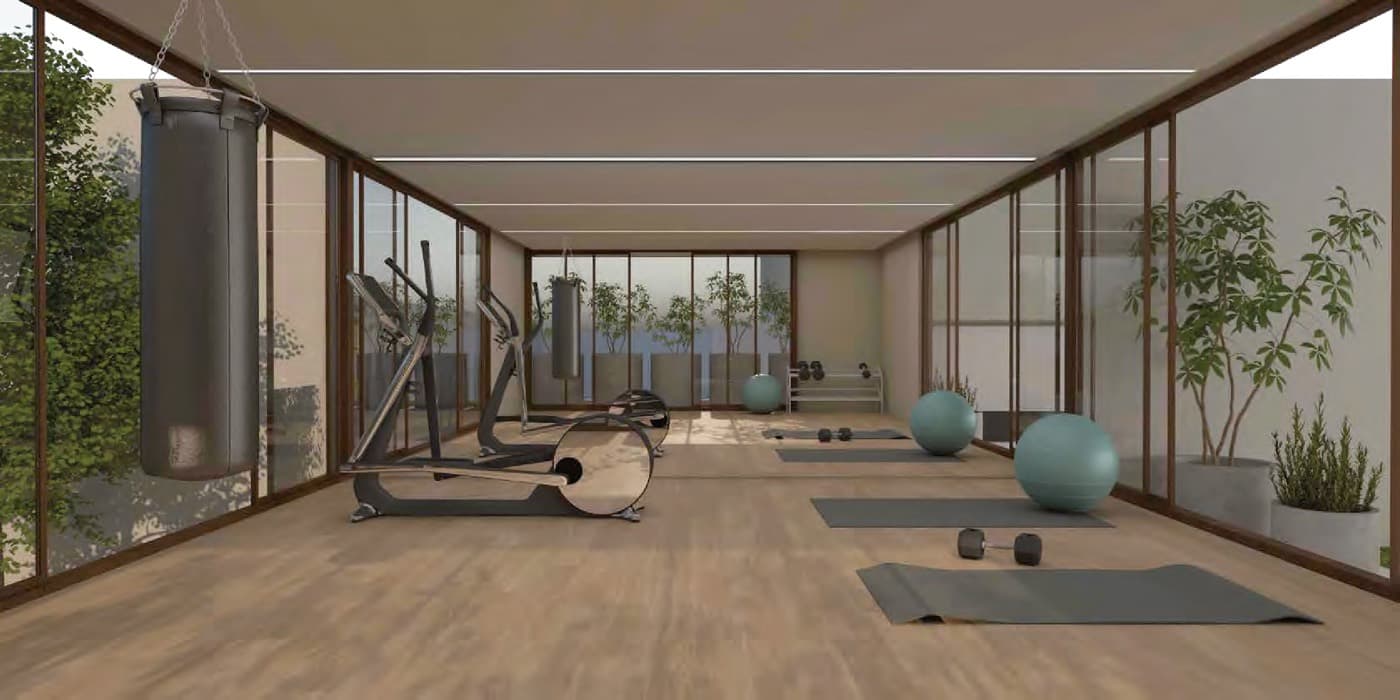 Gimnasio